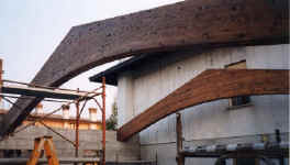 travi boomerang